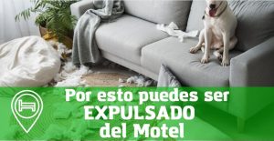 por que motivos te pueden expulsar de un motel